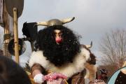 Fasnachtsumzug Breitenbach 2009
